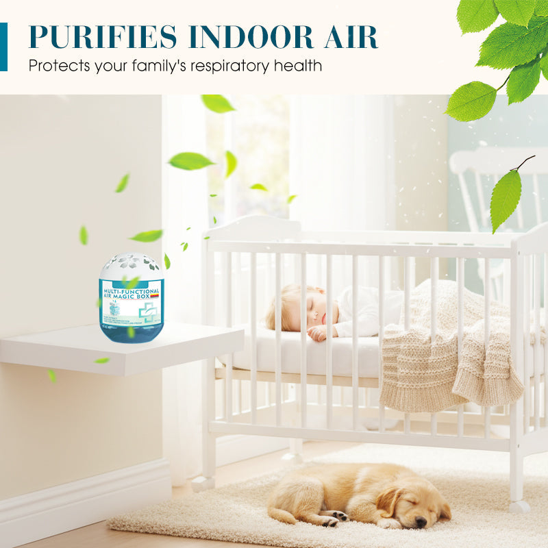 🔥 Limited-Time Pre-Sale⏰Daphtora® Indoor Air Purification Dust Removal Magic Box🏠🌿