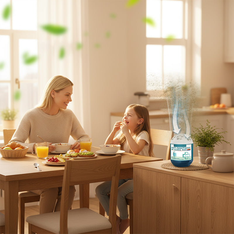 🔥 Limited-Time Pre-Sale⏰Daphtora® Indoor Air Purification Dust Removal Magic Box🏠🌿